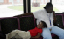 aIMG_1947_edited